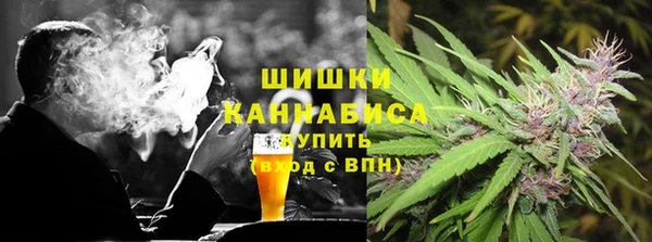 spice Сясьстрой
